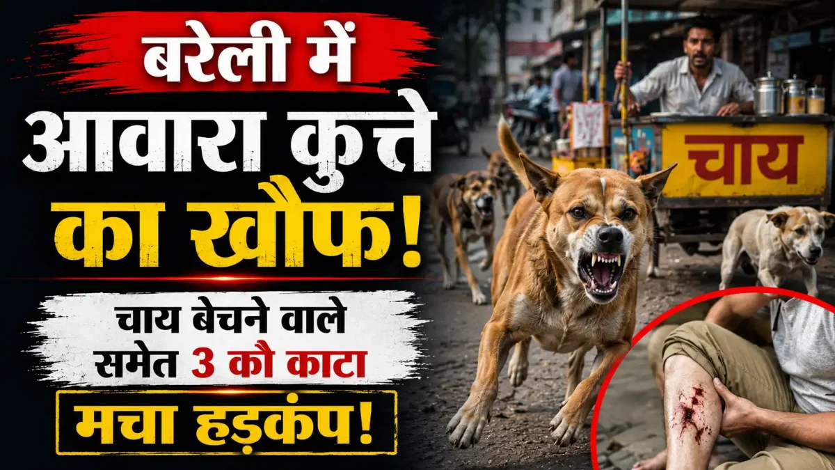 बरेली में आवारा कुत्ते का खौफ: चाय बेचने वाले समेत 3 को काटा, मचा हड़कंप