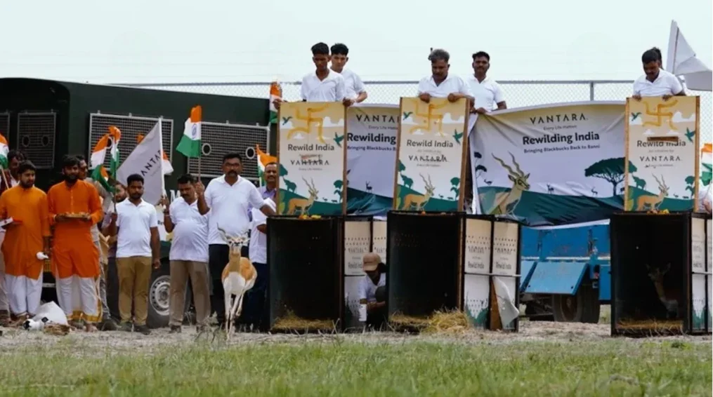स्वतंत्रता दिवस पर 'वंतारा' की अनूठी पहल, कच्छ के खुले जंगलों में दौड़े 20 काले हिरण